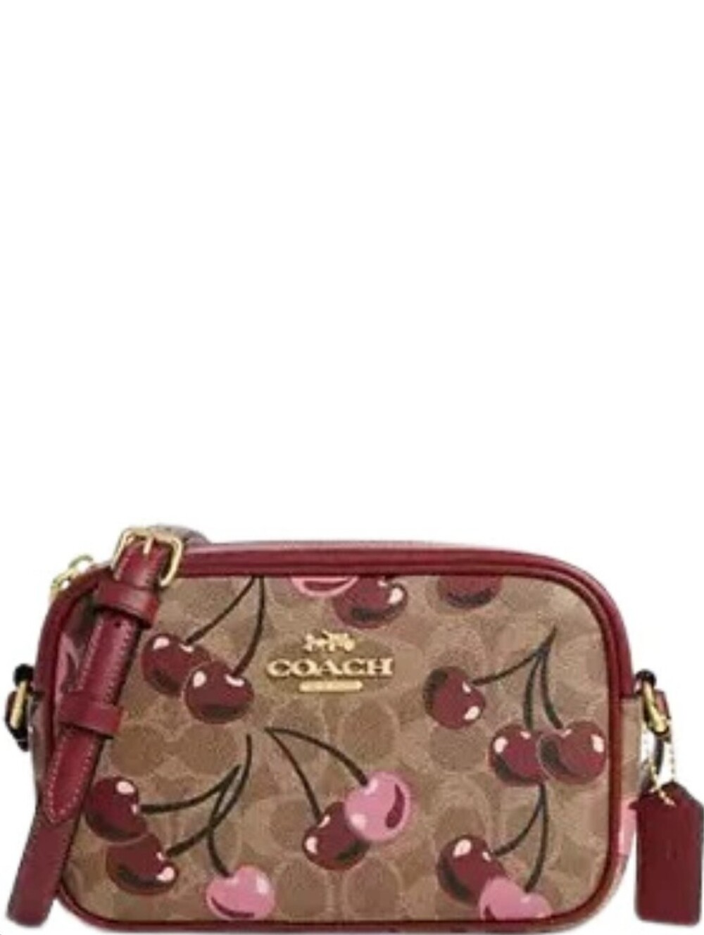 Coach Cherry Print Mini Camera Bag in Brown & Burgundy